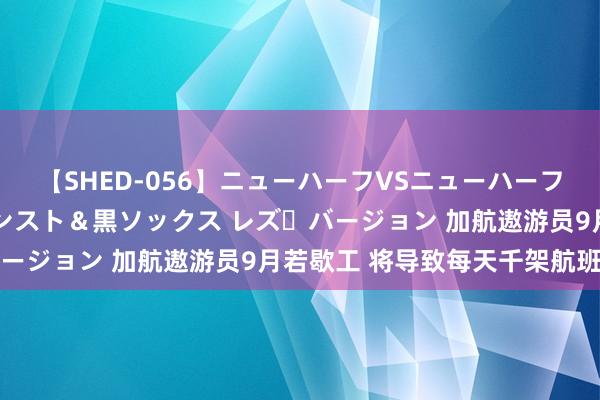 【SHED-056】ニューハーフVSニューハーフ 不純同性肛遊 3 黒パンスト＆黒ソックス レズ・バージョン 加航遨游员9月若歇工 将导致每天千架航班停飞